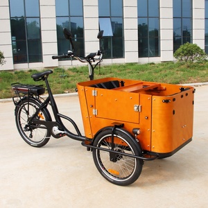 Vélo cargo électrique familial avec moteur arrière 250W 500W, conforme aux normes européennes, avec <span class=keywords><strong>porte</strong></span> latérale, tricycle électrique pour enfants, meilleure vente - Product Image 1