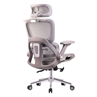 Échantillon Gratuit Chaises de Bureau en Maille avec Support Lombaire pour Visiteurs, Fabrication OEM Chinoise, Incassables, Logo Personnalisé