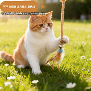 <b>Cat</b> Teaser Wand With Feather Bell Elastic Mesh Durable <b>Interactive</b> <b>Toy</b> For <b>Cats</b> Outdoor Play Boredom Buster Pet Entertainment - Product Image 1
