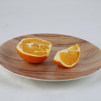 Houten print melamine schaal 10 inch duurzame fruitbord modern design picknickgebruik