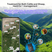 Collier de suivi GPS Q7-NY pour bovins et ovins, agriculture intelligente, étanche, GSM/GPRS 4G LTE WiFi, avec faible consommation d'énergie
