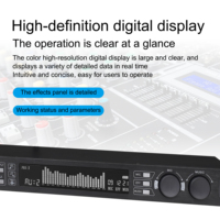 Processeur d'effets audio DSP professionnel de 2e génération, système de gestion audio numérique, Bluetooth, écran rétroéclairé, portable