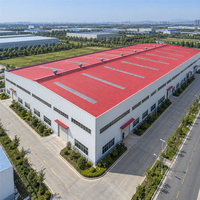 Fabricant de structures en acier pour entrepôts, bâtiments industriels sur mesure pour le stockage commercial et les applications industrielles
