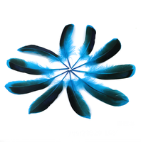 Bleu ciel plume d'oie naturelle pour artisanat bricolage coiffure chapeau cheveux Costume accessoire carnaval fête mariage maison Halloween décor