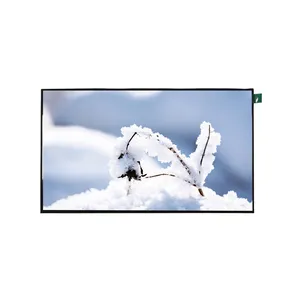 กว้างอุณหภูมิ AntiGlare RGB 40Pins LVDS IPS จอแสดงผล LCD 10.1 นิ้วหน้าจอสัมผัส 1920*1080 โมดูล LCD