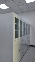 Gabinete de almacenamiento de vidrio para laboratorio con estructura de acero anticorrosión y rejilla de secado para laboratorios químicos, farmacéuticos y universitarios.