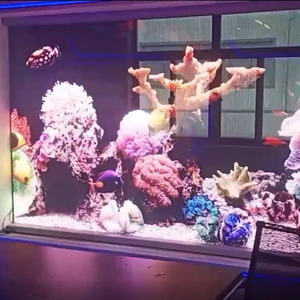 Écran <span class=keywords><strong>d</strong></span>'affichage holographique LED 3D transparent, <span class=keywords><strong>film</strong></span> flexible de 7,8 mm, écran mural en verre intérieur, publicité vidéo holographique pour les magasins de <span class=keywords><strong>d</strong></span>étail - Product Image 6