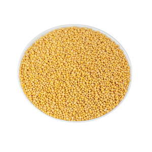 Semi di <span class=keywords><strong>Senape</strong></span> Gialla di Alta Qualità, Naturali, Biologici <span class=keywords><strong>e</strong></span> Salutari per Agricoltura <span class=keywords><strong>e</strong></span> Consumo - Product Image 1