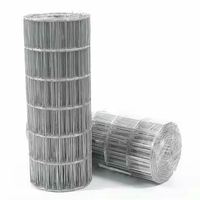 Cages à oiseaux en treillis métallique tissées en acier inoxydable Filets d'élevage Finition galvanisée Styles d'armure toile néerlandais pour la construction Maille soudée
