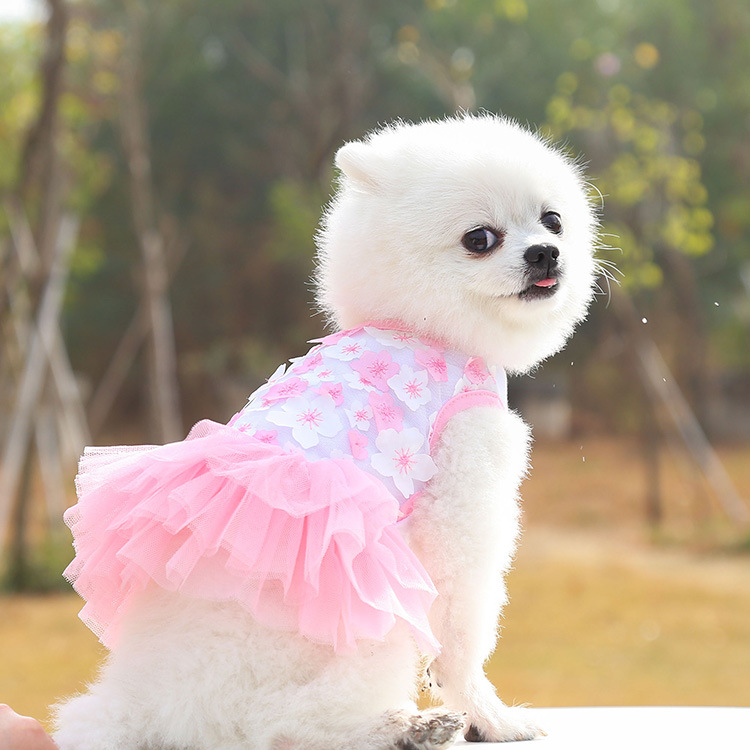 open lace back dress Gold Sequin Dog Dress