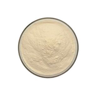 High Quality Food Additives Enzyme <strong>Bromelain</strong> 2400 Gdu <strong>Pure</strong> <strong>Bromelain</strong> Enzyme Powder <strong>Bromelain</strong> - Product Image 1