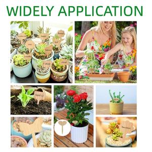 ملصقات نباتات خشبية 10*6 * ، بذور عشبية قابلة للتحلل ، مقاومة للماء ، ملصقات سائبة قابلة لإعادة الاستخدام لحديقة الدفيئة - Product Image 3