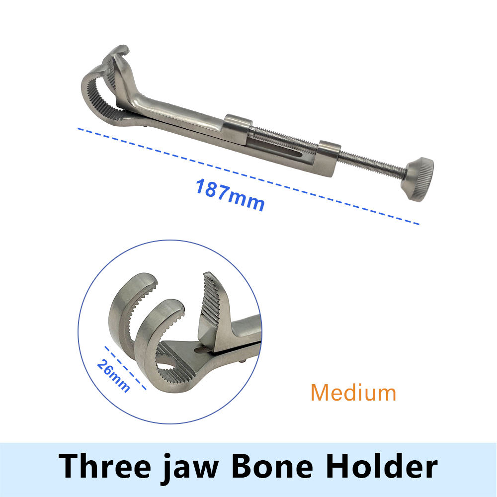 1 ชิ้น ขนาดกลาง