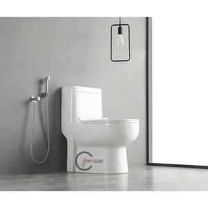 Ceramic One-piece Floor <b>Toilet</b> Bathroom Sanitary Ware Porcelain Washdown <b>Toilet</b> Bowl - Product Image 6