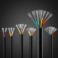 Kabel Multi-core Standar UL 2464 2-50 Inti Berisolasi PVC Fleksibel untuk Kontrol Sinyal dan Kabel Elektronik Otomotif