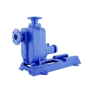 Horizontal Type ZW Self Priming Sewage Pump For Municipal Wastewater Treatment