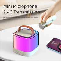 En gros, Mini enceinte karaoké BT 5.1 portable avec poignée, 2 micros, éclairage RGB coloré, compatible Android, son haute fidélité, USB/SD