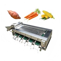 Automatische elektronische sorteerapparatuur voor walnoten, kersen, citrusvruchten, kiwi's, hagedoornvruchten, avocado's, loquatjes, navelbessen, kumquats.