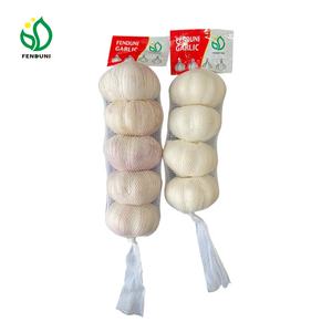 Ail frais comme marque <span class=keywords><strong>TIMA</strong></span> 10 kg/boîte 5.0/5.5cm exportation vers le marché du Sénégal - Product Image 5