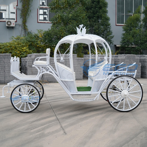 Artículos de Lujo Eléctricos para Bodas: Carruajes y Carros de Cenicienta de Metal sin Caballos para Venta - Product Image 4