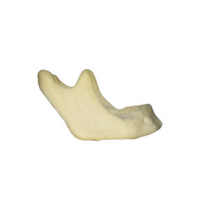 แบบจำลอง<span class=keywords><strong>ก</strong></span>ารยกโพรงไซนัสบนกราม - อุปกรณ์ฝึกอบรม<span class=keywords><strong>ก</strong></span>ารตรวจทางการแพทย์และ<span class=keywords><strong>ก</strong></span>ารฝังรากเทียมสำหรับการ<span class=keywords><strong>ฝึก</strong></span>ปฏิบัติทางทันต<span class=keywords><strong>ก</strong></span>รรม - Product Image 2