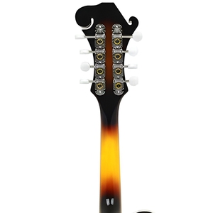 Mandolino IRIN Stile F con Corpo in Compensato Laminato, Finitura Sunburst, 8 Corde per Principianti - Product Image 5