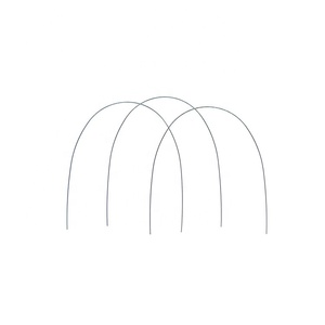 Dây Vòm Ortho Niti - Product Image 3