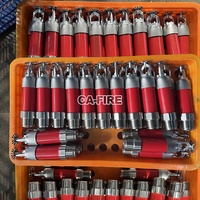 CA Fire Dry Sprinkler Pendent 68 Degree Sprinkler Head 5 Mm Bulb Dry Sprinkler Price