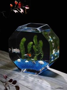 Creatief verdikt high-definition glazen mini-<span class=keywords><strong>aquarium</strong></span> 2,5L desktop landschap ecologische fles hydrocultuur huisdecoratie patio - Product Image 4