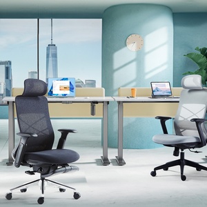 Chaise de bureau ergonomique en maille intégrale au design moderne avec support lombaire, chaise de direction pivotante pour usage domestique, vente en gros - Product Image 1