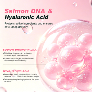 แอมพูลสารสกัด DNA แซลมอน สูตรเฉพาะสำหรับผู้ผลิต (OEM) เพื่อการต่อต้านริ้วรอยและฟื้นฟูผิวอย่างมั่นคง ลดเลือนริ้วรอยเล็กๆ สำหรับผิวบอบบาง เซรั่มแอมพูล - Product Image 4