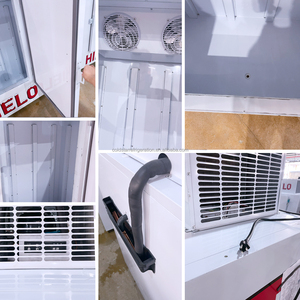 Tự động defogging đôi cửa rắn trong nhà băng Tủ đông năng lượng hiệu quả Cube Băng hiển thị lạnh lưu trữ Băng Hộp tủ đông - Product Image 4