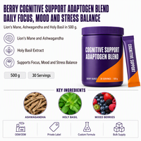 Mélange Adaptogène en Poudre pour Soutien Cognitif Économique Crinière de Lion et Basilic Sacré Sans Gluten Antioxydant Halal ISO HACCP COA Faible Teneur