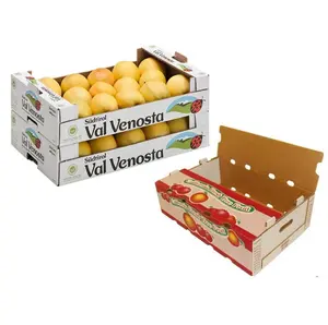 Factory Supply Cheap Extra Firm Food Grade Large Cardboard Display Boxes For Fruit Shipping