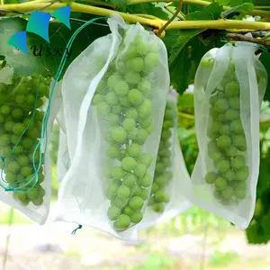 安価なカスタムブドウ保護バッグ不織布農業生地果物害虫駆除保護カバー不織布成長バッグ