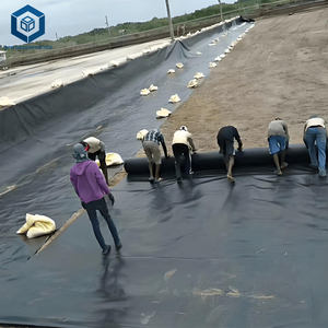 <span class=keywords><strong>Couverture</strong></span> de serre en LDPE de 0,3 mm, 300 % d'allongement, Kenya, Tanzanie, emballage pliable, échantillon gratuit - Product Image 2