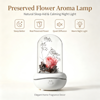 Diffuseur d'aromathérapie créatif en plastique à fleurs éternelles, éclairage d'ambiance sept couleurs, télécommandé, alimenté par USB, lampe aromatique pour la maison