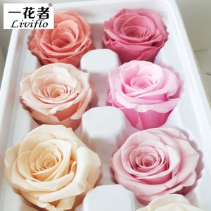 Yunnan Provence Têtes de Roses Conservées Pour Toujours Rose Fleurs Immortelles en gros 4-5 cm - Product Image 3