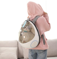 Vente en gros de sac à dos transparent à bulles pour animaux de compagnie chien chat sac de transport capsule sac extérieur portable Porte-sac à dos pour chat