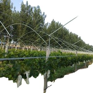 Piquet de jardin en fibre de verre pour plantes supportant et grimpant - Product Image 3