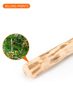 Juguete para masticar perros, palitos para masticar perros naturales, madera de café, palitos para dentición molares degradados, juguetes para perros - Product Image 5