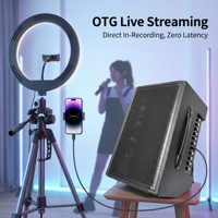 Amplificador de Guitarra Bluetooth Portátil con Altavoz, Micrófonos Inalámbricos Dobles Integrados y Accesorios para Eventos en Vivo