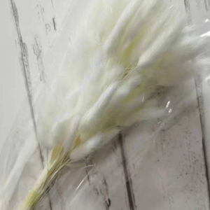 Vente en gros de <span class=keywords><strong>Lagurus</strong></span> Ovatus (Queues de lapin) séchées naturelles de qualité supérieure, 50 tiges/lot, pour les fleuristes et les organisateurs d'événements - Product Image 3