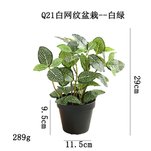 Feuilles <span class=keywords><strong>de</strong></span> <span class=keywords><strong>zinnia</strong></span> artificielles, plantes vertes artificielles pour la décoration <span class=keywords><strong>de</strong></span> la table du salon à la maison, plante artificielle en pot fournie par l'usine - Product Image 3
