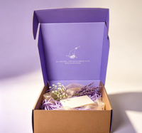 Boîte d'expédition postale en carton ondulé avec impression de logo personnalisé, fermeture auto-adhésive