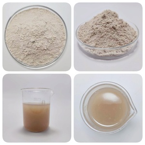ISO HACCP chứng nhận tinh khiết tự nhiên <span class=keywords><strong>Psyllium</strong></span> hạt trấu bột <span class=keywords><strong>Psyllium</strong></span> trấu bột - Product Image 3