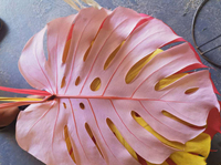 Nouvelle feuille de monstera naturelle de haute qualité pour la décoration intérieure