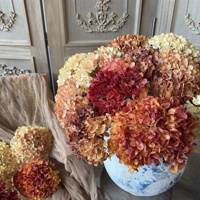 KW-F082 Bunga Hydrangea Kering Tunggal Berwarna, Bunga Hydrangea Vintage Buatan untuk Dekorasi Rumah dan Pernikahan