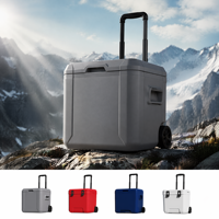 Glacière isotherme portable sur roulettes, design moderne et personnalisable, pour camping, pique-nique, vin, canettes et aliments, 38L/25L/15L