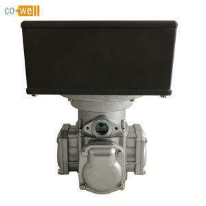 Perpindahan Positif Dispenser Bahan Bakar <span class=keywords><strong>Flow</strong></span> <span class=keywords><strong>Meter</strong></span> dengan Counter Mekanik 5-60l/Min - Product Image 3